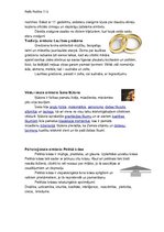 Konspekts 'Zīmes un simboli', 3.