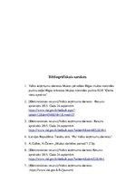 Prakses atskaite 'Prakses atskaite muitas kontroles punktā', 16.