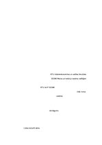 Prakses atskaite 'Prakses atskaite muitas kontroles punktā', 17.