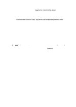 Prakses atskaite 'Prakses atskaite muitas kontroles punktā', 18.