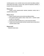 Referāts 'Starpinstitucionālā sadarbība sociālajā darbā ar vardarbībā cietušām sievietēm', 5.