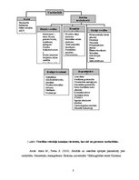 Referāts 'Starpinstitucionālā sadarbība sociālajā darbā ar vardarbībā cietušām sievietēm', 8.
