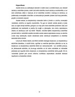 Referāts 'Starpinstitucionālā sadarbība sociālajā darbā ar vardarbībā cietušām sievietēm', 33.