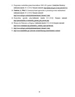 Referāts 'Starpinstitucionālā sadarbība sociālajā darbā ar vardarbībā cietušām sievietēm', 38.