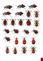 Konspekts 'Integrēta nodarbība ar matemātikas dominanti', 8.