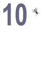 Konspekts 'Integrēta nodarbība ar matemātikas dominanti', 14.