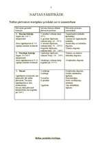 Referāts 'Naftas pārstrāde', 3.