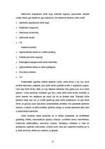 Diplomdarbs 'Starptautiskās sadarbības aspekti profesionālās izglītības iestādē', 23.