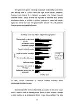 Diplomdarbs 'Starptautiskās sadarbības aspekti profesionālās izglītības iestādē', 42.