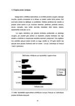 Diplomdarbs 'Starptautiskās sadarbības aspekti profesionālās izglītības iestādē', 44.