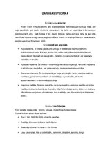 Referāts 'Kruīzu kuģi kā tūrisma sektors', 4.