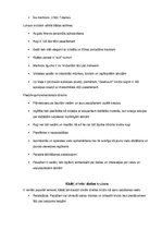 Referāts 'Kruīzu kuģi kā tūrisma sektors', 5.