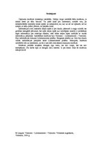 Referāts 'Ceļojuma maršruts Valmiera - Lillehammere - Valmiera', 9.