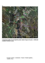 Referāts 'Ceļojuma maršruts Valmiera - Lillehammere - Valmiera', 20.