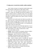 Referāts 'Veselīgs uzturs, tā nozīme bērna attīstībā, veselības sekmēšanā', 4.