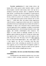 Konspekts 'Eksāmenu jautājumi. Darba veselība un aroda medicīna', 12.