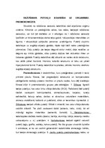 Konspekts 'Eksāmenu jautājumi. Darba veselība un aroda medicīna', 29.