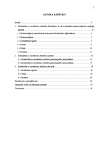 Referāts 'SIA kā visizplatītākā komercdarbības forma', 2.