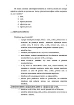 Referāts 'SIA kā visizplatītākā komercdarbības forma', 8.