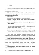 Referāts 'SIA kā visizplatītākā komercdarbības forma', 24.