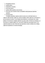 Referāts 'Uzņēmējdarbība', 6.