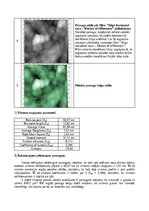 Konspekts 'Atomu spēku mikroskopija', 9.