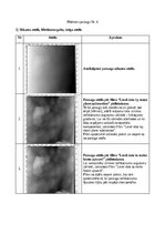 Konspekts 'Atomu spēku mikroskopija', 11.