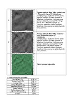 Konspekts 'Atomu spēku mikroskopija', 12.