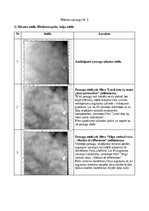 Konspekts 'Atomu spēku mikroskopija', 14.