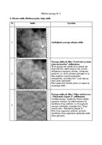 Konspekts 'Atomu spēku mikroskopija', 17.