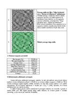 Konspekts 'Atomu spēku mikroskopija', 18.