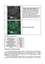 Konspekts 'Atomu spēku mikroskopija', 24.