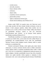 Referāts 'Pamatlīdzekļu uzskaites organizēšana budžeta iestādē', 17.