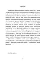 Referāts 'Pamatlīdzekļu uzskaites organizēšana budžeta iestādē', 21.