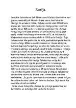 Referāts 'NLO. Nesija', 4.