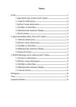 Referāts 'Lugas, stāsta, noveles analīze', 1.