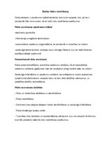 Referāts 'Autoservisa speciālista profesijas riski un to novēršanas pasākumi', 7.