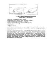 Konspekts 'Atmosfēras piesārņojums', 4.