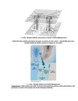 Konspekts 'Atmosfēras piesārņojums', 5.