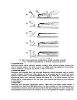 Konspekts 'Atmosfēras piesārņojums', 10.