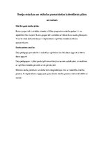 Prakses atskaite 'Deju stundu hospitācija', 4.