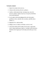 Prakses atskaite 'Deju stundu hospitācija', 7.