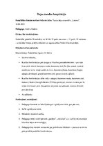 Prakses atskaite 'Deju stundu hospitācija', 17.