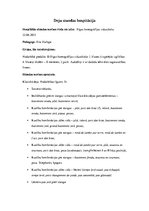 Prakses atskaite 'Deju stundu hospitācija', 24.