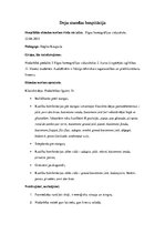 Prakses atskaite 'Deju stundu hospitācija', 26.