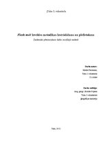 Referāts 'Flash mob izveides metodikas izstrādāšana un pielietošana', 1.