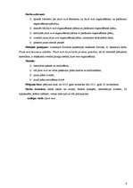 Referāts 'Flash mob izveides metodikas izstrādāšana un pielietošana', 6.