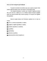 Referāts 'Ekspeditori', 11.