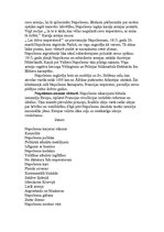 Referāts 'Napoleons Bonaparts', 6.