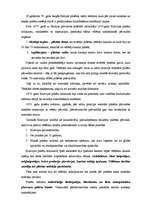 Eseja 'Vēlēšanas cariskās Krievijas laikā', 2.